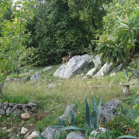 Apartman In With Sea View, Terrace, Wi-fi